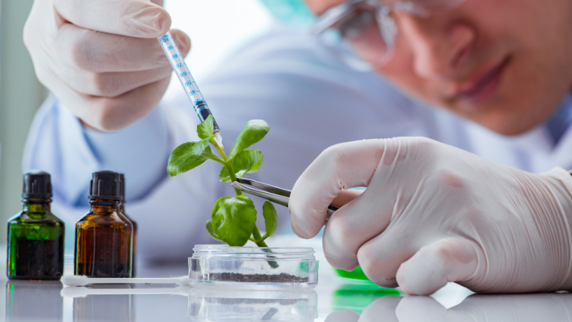 Descubra com Teciomar Ábila como a biotecnologia está moldando uma nova geração de tenistas mais eficientes e resilientes.