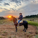 O uso inteligente de munck promete reduzir custos logísticos e acelerar cronogramas na construção civil em 2026, destaca Altevir Seidel.